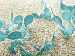 Cactuses  80x200cm